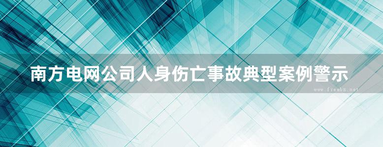 南方电网公司人身伤亡事故典型案例警示教材 生命高于一切 中国南方电网有限责任公司安全监管部 组编 (2014版)